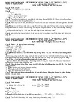 Đề thi học sinh giỏi Toán -T.Việt 3,4,5 cấp huyện 2010-2011