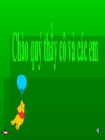 tnxh nhan biet ve con vat,cay coi