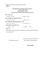 DE KHAO SAT TOAN - TV CUOI HK 2010 - 2011