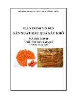 giáo trình mô đun sản xuất rau quả sấy khô