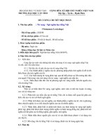 Đề cương chi tiết học phần từ vựng - ngữ nghĩa học tiếng việt