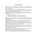 on thi hoc ki 2 11 phần từ trường