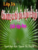 Mat troi xanh cua toi T33