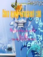 TNXH lớp 3 bài : CHIM