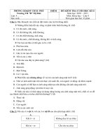 Câu hỏi ôn thi HKII lớp 4