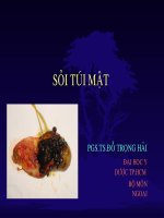 Bài giảng hay về sỏi túi mật.PPT