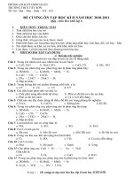 Đề cuong ôn tập HKII hoa 8 (10-11)