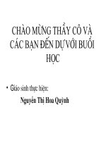 bài 29.vung tây nguyên tt