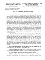 Hướng dẫn viết bổ sung SKKN năm học 2010-2011