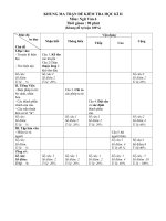 ĐỀ THI HỌC KÌ 2 NGỮ VĂN 6(CÓ MA TRẬN VÀ Đ.ÁN)