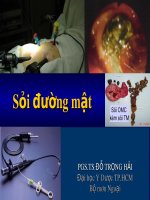 Bài giảng full về sỏi đường mật hay