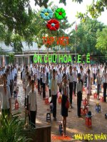 Tập Viết : Chữ Hoa E