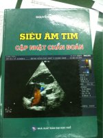 Hình ảnh siêu âm tim