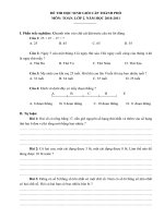 Toán 2: Đề thi HSG cấp thành phố (2010-2011)