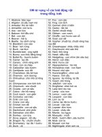 100 từ tiếng anh về Động Vật