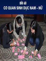 Co quan sinh duc nam va nu long ghep SKSS VTN