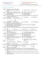 ĐỀ THAM KHẢO HÓA 11 HKII