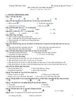 ĐỀ CƯƠNG TIN 7 HỌC KỲ II-2011