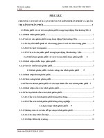 tiểu luận quản trị marketing THỰC TRẠNG HOẠT ĐỘNG QUẢN TRỊ KÊNH PHÂN PHỐI PHÂN bón của CÔNG TY TNHH SIBA