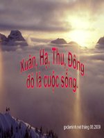 Bài học từ các mùa