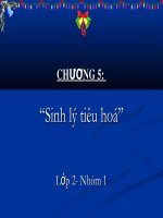 chuong 5. sinh li tieu hoa