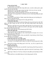 QUÊ HƯƠNG  CỦA BÉ