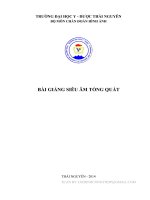 Siêu âm tổng quát y học dự phòng