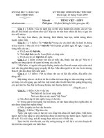 Đề thi HSG Tiếng Việt lớp 4-5