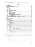 Tiểu luận môn học Marketing toàn cầu - ảnh hưởng văn hoá Úc và New Zealand