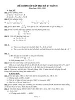 Đề cương ôn tập HK 2 Đại 8 (Chuẩn 2011)