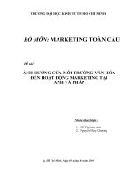 tiểu luận quản trị marketing ẢNH HƯỞNG CỦA MÔI TRƯỜNG VĂN HÓA ĐẾN HOẠT ĐỘNG MARKETING TẠI ANH VÀ PHÁP