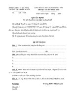 Quyet dinh thanh tra