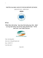 tiểu luận quản trị marketing Phân khúc thị trường – lựa chọn thị trường mục tiêu – định vị trong thị trường của bộ hòa mạng Student Sim Tôi là sinh viên” của Viettel Telecom