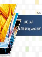 tiểu luận đề tài  Lục lạp quá trình quang hợp