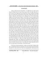 Đồ án dự án cải tạo và thay thế công nghệ sản xuất gạch -  VSBK