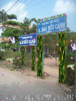 Chính Tả : Hội Đua Voi Ở Tây Nguyên