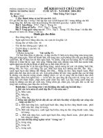 De khao sat mon tieng viet cuoi học kỳ II