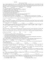 Đề số 2 năm 2011