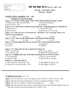 DethiCN7KyII+dap anChuanco matrandeHien2010-2011