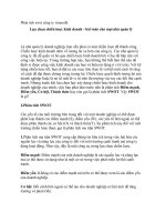 Tiểu luận Phân tích swot công ty vinamilk