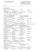 the second term test 11