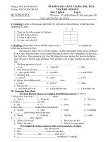 đề thi Anh văn 6 mới HKII2010-2011
