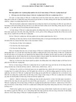 Câu hỏi  ôn tập môn lý luận chung về Nhà nước và pháp luật