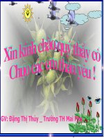 TLV mở bài trực tiếp, gián tiếp