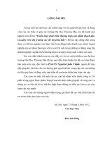 luận văn thạc sĩ quản trị chiến lược Hoàn thiện chiến lược phát triển thương hiệu thạch dừa Cocojely trên thị trường các đô thị phía Bắc