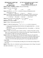 Đề thi tuyển sinh 10 môn Toán tỉnh Vĩnh Phúc 2010-2011.