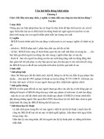 de cuong an toan lao dong (xd cdcd ha noi)