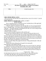 đề kiểm tra cuối học kì 2 lớp 5 đủ các môn