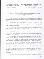 treo cờ tổ quốc và nghỉ lễ kỷ niệm ngày giái phóng miền nam và quốc tế lao động năm 2011