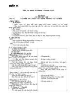 Tiết 14 - Vẽ tiếp họa tiết vào hình vuông và vẽ màu